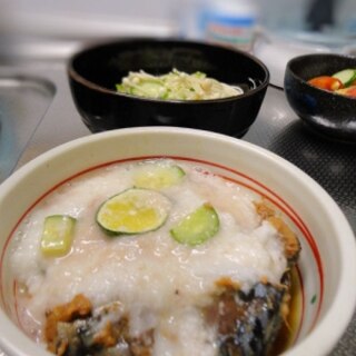 さば味噌煮缶とろろがけ